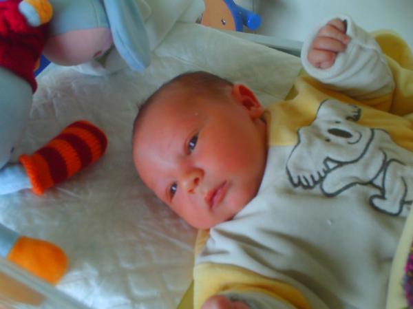 maxime